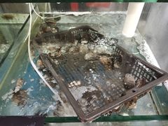 -雅逸居海鲜小厨