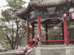 -颐和园