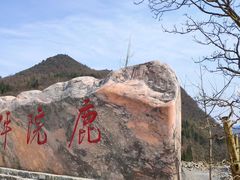 -鹿院坪生态旅游景区