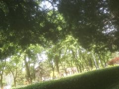 -古城公园