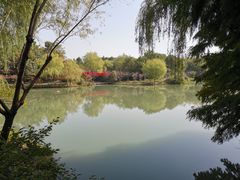 -青枫公园