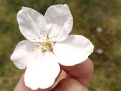 -龙美术馆(西岸馆)