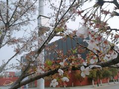 -南京航空航天大学(将军路校区)