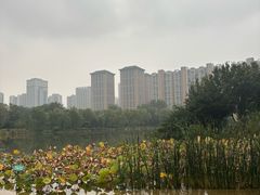 -木塔寺遗址生态公园