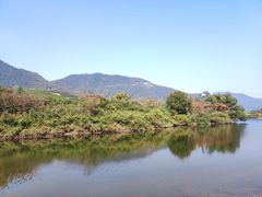 -龙坞茶村