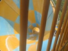 -重庆海昌加勒比海水世界