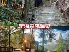 -宁海森林温泉