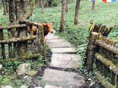 -硗碛藏寨·神木垒景区