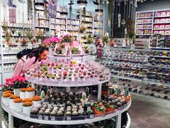-KKV(深圳kk one 店)