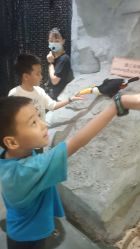 -Zoolung Zoolung动物主题公园(海信广场店)