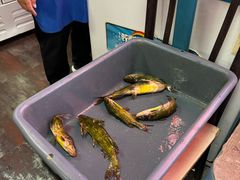 -忆乡情铁锅炖鱼饭店(延庆店)