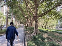 -广东金融学院(校本部)