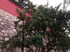 -大雁塔北广场音乐喷泉