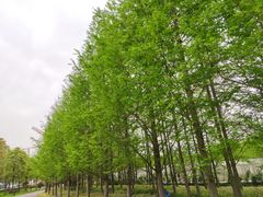 -上海山野camping·户外天幕烧烤·团建拓展营地