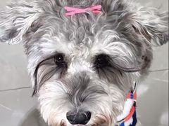 -FAELING PETS美天灵宠物(合生汇店)