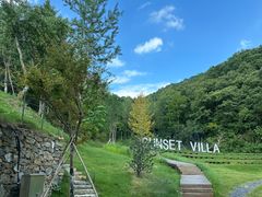 -千年银杏谷文化旅游区
