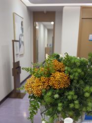 -广州紫馨整形外科医院
