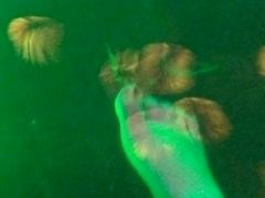 -宝丽金大酒店·洗浴中心