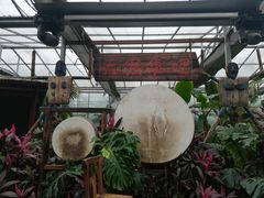-呀路古热带植物园