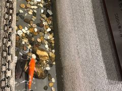 -渔米粥(罗湖店)