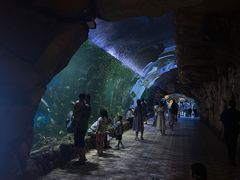 -华夏文旅海洋公园