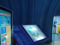 -烟台海昌鲸鲨海洋公园