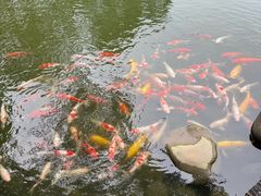 -万佛湖风景区
