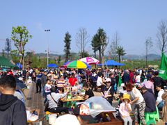 -枫香湖儿童公园