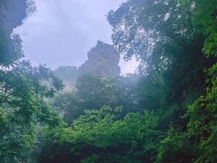 -邢台大峡谷