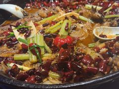 -老板恋上鱼(恒隆广场店)