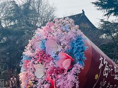 -红梅公园