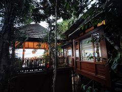 -三亚亚龙湾人间天堂鸟巢度假村