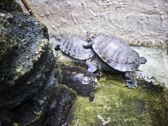 -后海16号·北京私房菜