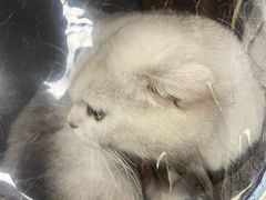 -瑞派宠物医院·24h·骨外科·皮肤科·全科宠物医疗转诊中心(沈阳浑南院)