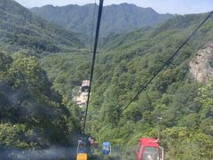 -朱雀国家森林公园