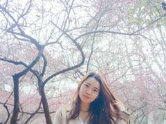 -武汉大学-樱园