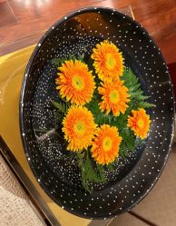 -iSpa