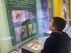 -上海昆虫博物馆