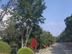 -安徽大学(龙河校区)