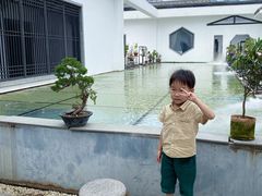 -稍可轩博物馆餐厅