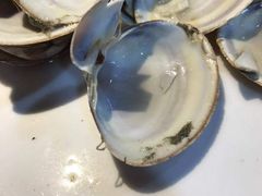 -丹东特色烤肉(南光三部店)