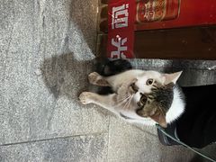 -廖记老砂锅(上清寺店)