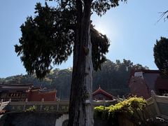 -灵光寺
