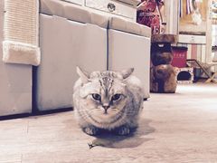 -小时光咖啡馆(开森度假森林店)