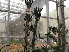 -郑州植物园