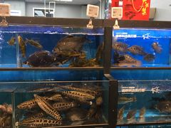 水产区-盒马鲜生(宝地店)