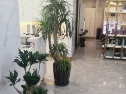 -时尚玩家发型设计