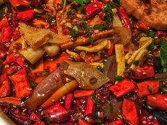 毛血旺-肖四女乐山跷脚牛肉(世博源店)