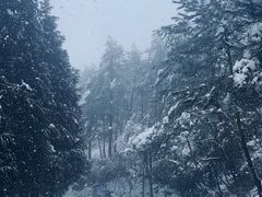 -四明山国家森林公园