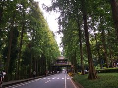 -青城山